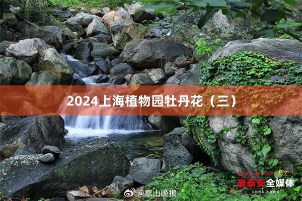 2024上海植物园牡丹花（三）
