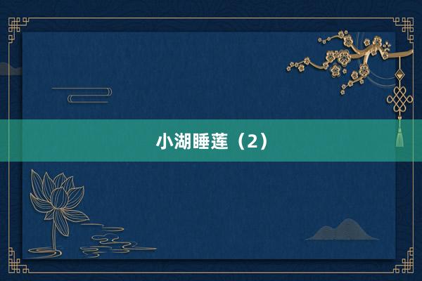 小湖睡莲（2）