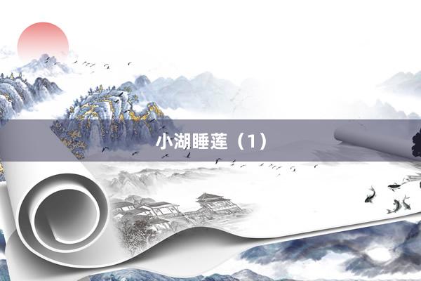小湖睡莲（1）