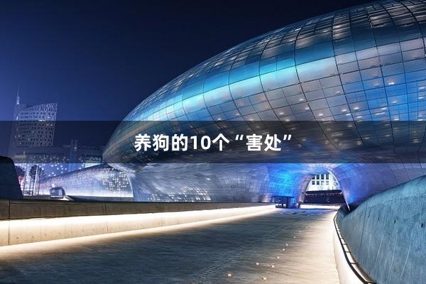 养狗的10个“害处”