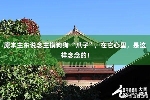 原本主东说念主摸狗狗 “爪子”，在它心里，是这样念念的！