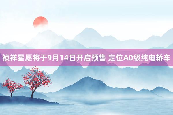 祯祥星愿将于9月14日开启预售 定位A0级纯电轿车