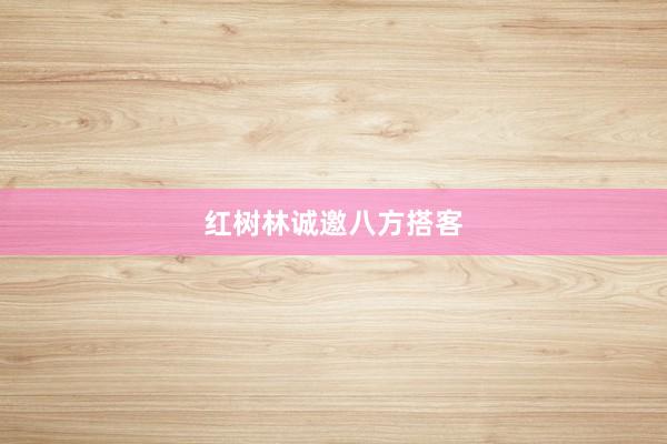 红树林诚邀八方搭客