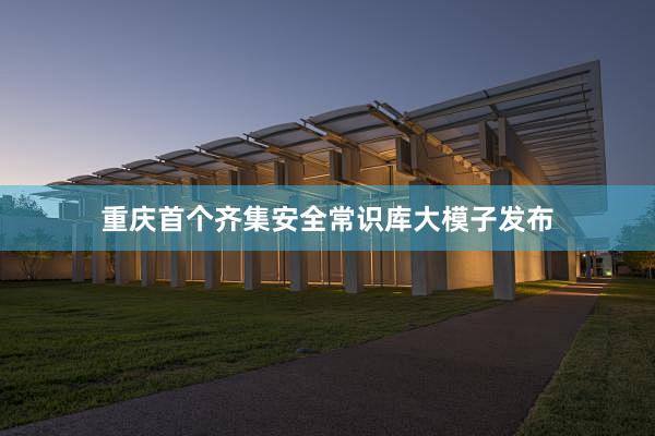 重庆首个齐集安全常识库大模子发布