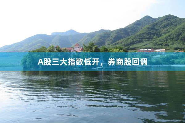 A股三大指数低开，券商股回调
