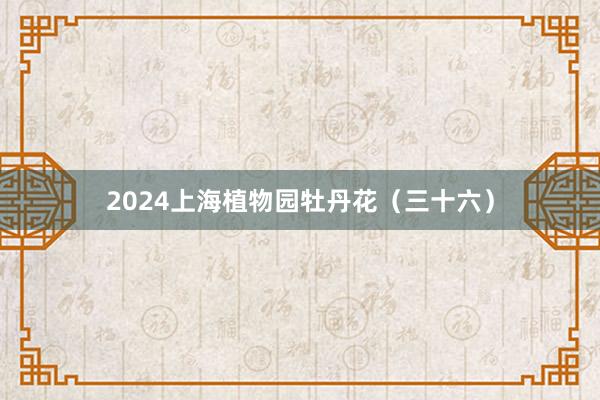 2024上海植物园牡丹花（三十六）