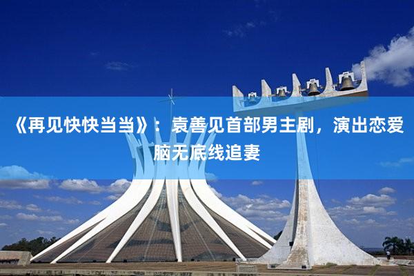 《再见快快当当》：袁善见首部男主剧，演出恋爱脑无底线追妻