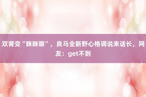 双肾变“眯眯眼”，良马全新野心格调说来话长，网友：get不到