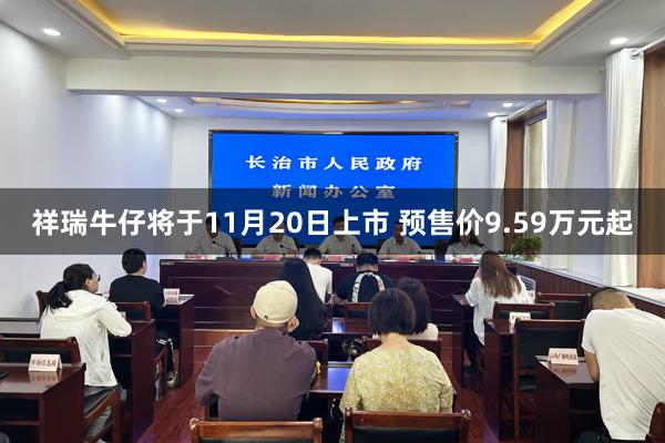 祥瑞牛仔将于11月20日上市 预售价9.59万元起