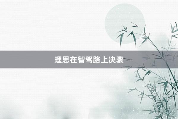 理思在智驾路上决骤