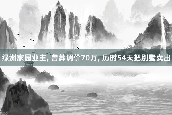 绿洲家园业主, 鲁莽调价70万, 历时54天把别墅卖出