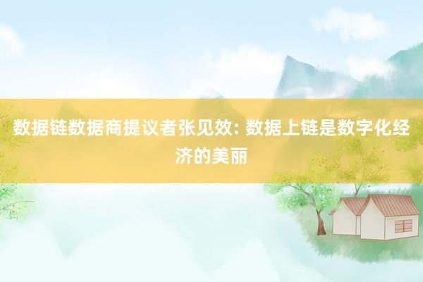 数据链数据商提议者张见效: 数据上链是数字化经济的美丽
