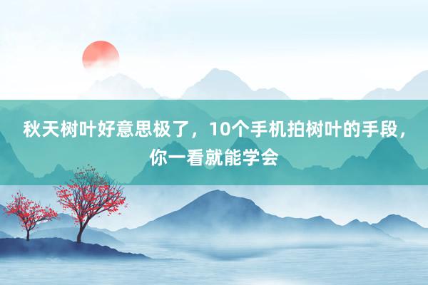 秋天树叶好意思极了，10个手机拍树叶的手段，你一看就能学会