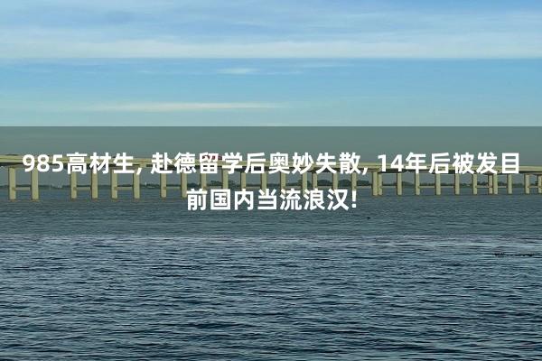 985高材生, 赴德留学后奥妙失散, 14年后被发目前国内当流浪汉!