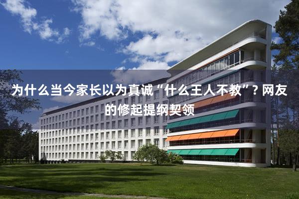 为什么当今家长以为真诚“什么王人不教”? 网友的修起提纲契领